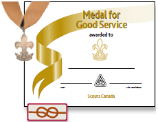 Medal for Good Service icon