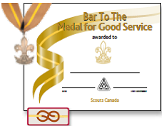 Bar to the Medal of Good Service icon