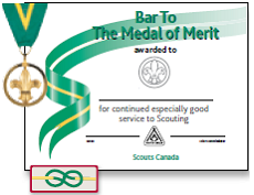 Bar to the Medal of Merit icon