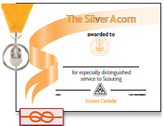 Silver Acorn icon