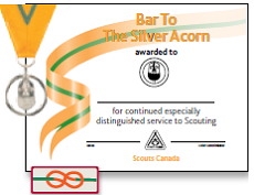 Bar to the Silver Acorn icon
