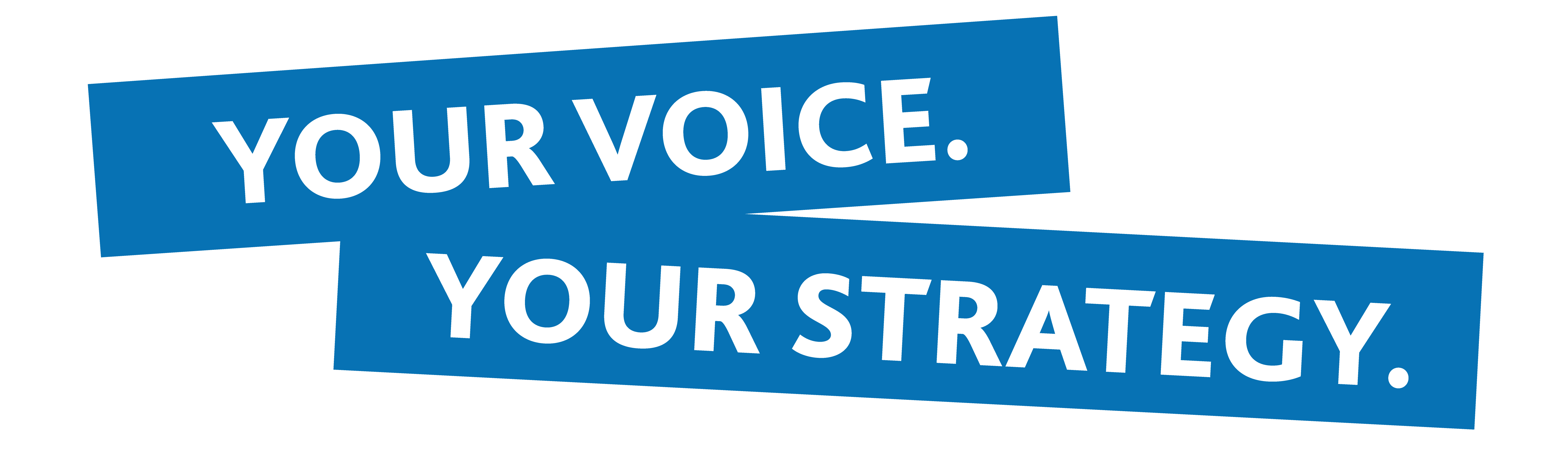Your Voice. Your Strategy.